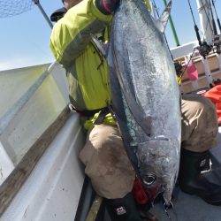 渡船屋たにぐち 釣果