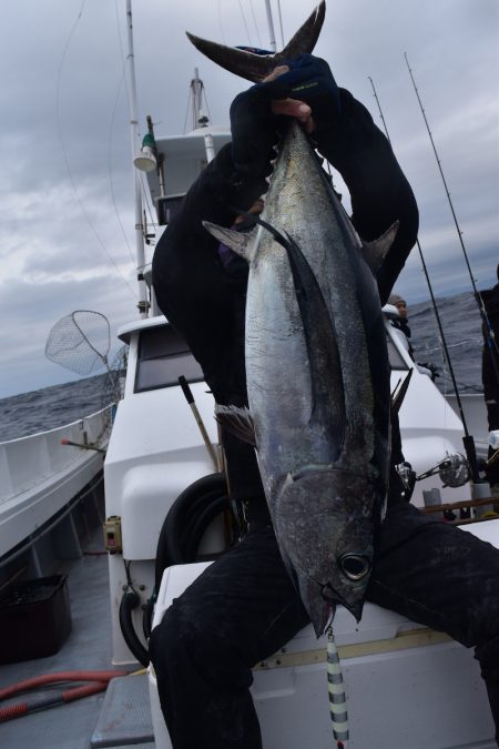 渡船屋たにぐち 釣果