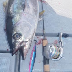 渡船屋たにぐち 釣果