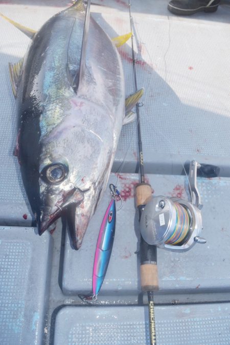 渡船屋たにぐち 釣果