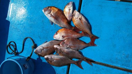 フィッシングガイド りょう 釣果