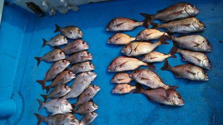 フィッシングガイド りょう 釣果