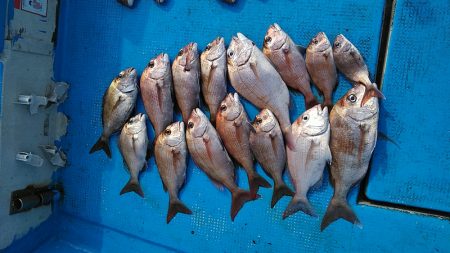 フィッシングガイド りょう 釣果