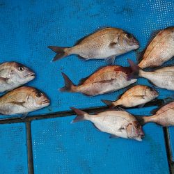 フィッシングガイド りょう 釣果