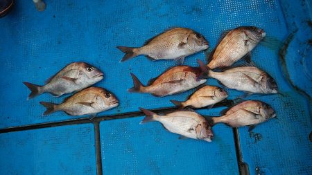 フィッシングガイド りょう 釣果