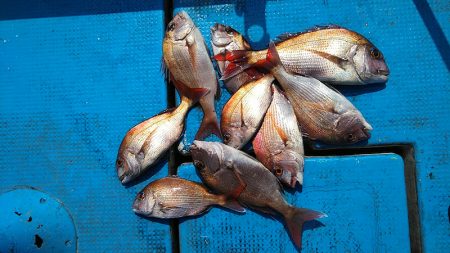 フィッシングガイド りょう 釣果