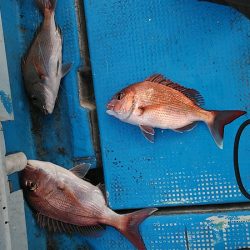 フィッシングガイド りょう 釣果