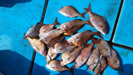 フィッシングガイド りょう 釣果