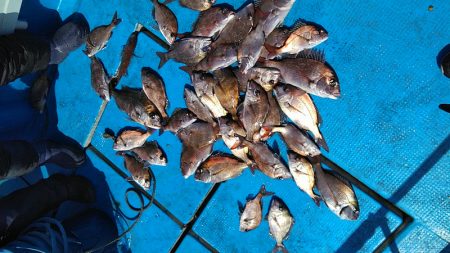 フィッシングガイド りょう 釣果