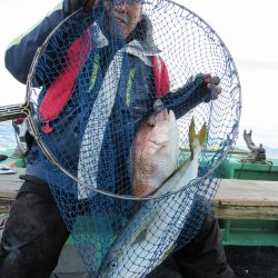 真祐丸 (しんゆうまる) 釣果