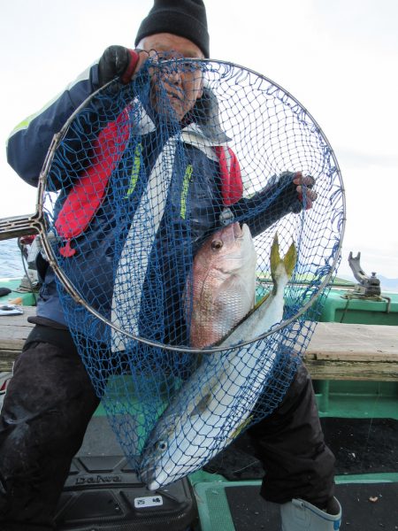 真祐丸 （しんゆうまる） 釣果