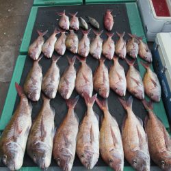 真祐丸 (しんゆうまる) 釣果