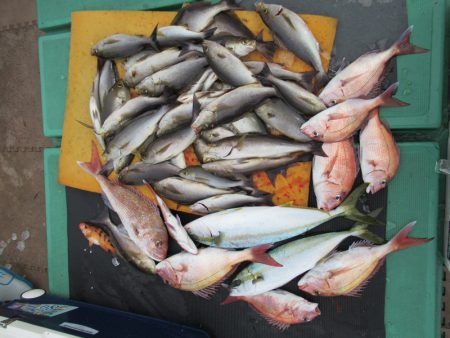 真祐丸 (しんゆうまる) 釣果