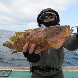 真祐丸 (しんゆうまる) 釣果