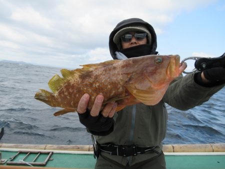 真祐丸 (しんゆうまる) 釣果
