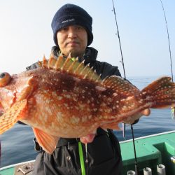 真祐丸 (しんゆうまる) 釣果