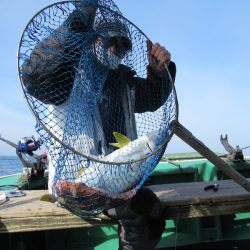 真祐丸 （しんゆうまる） 釣果