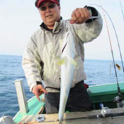 真祐丸 (しんゆうまる) 釣果