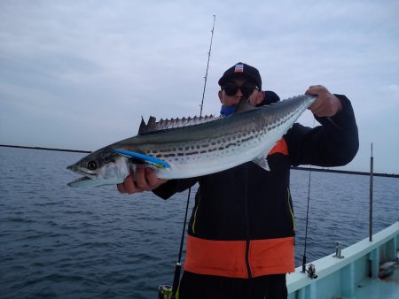 ひな丸 釣果