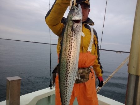 ひな丸 釣果