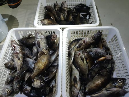 KIM Fishing Guide Ser…