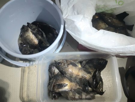 KIM Fishing Guide Ser…