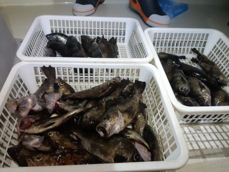 KIM Fishing Guide Ser…