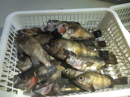 KIM Fishing Guide Ser…