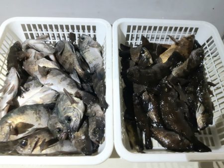 KIM Fishing Guide Ser…