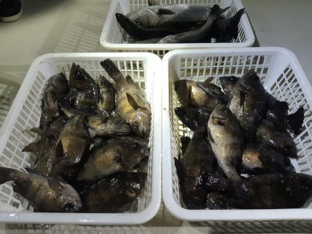 KIM Fishing Guide Ser…