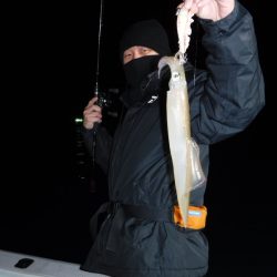 ＢｌｕｅＮｏｔｅ　Ｆｉｓｈｉｎｇ　Ｔａｘｉ 釣果