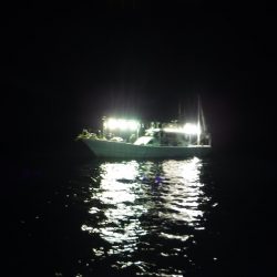 ＢｌｕｅＮｏｔｅ　Ｆｉｓｈｉｎｇ　Ｔａｘｉ 釣果