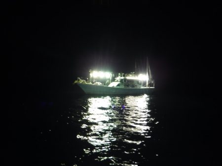 ＢｌｕｅＮｏｔｅ　Ｆｉｓｈｉｎｇ　Ｔａｘｉ 釣果