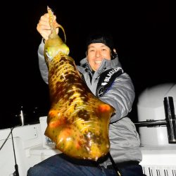 South Current 釣果