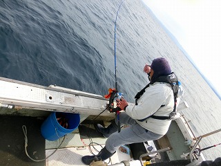 第二清洋丸 釣果