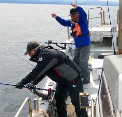 第二清洋丸 釣果