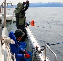 第二清洋丸 釣果