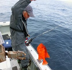 第二清洋丸 釣果