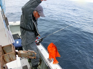 第二清洋丸 釣果