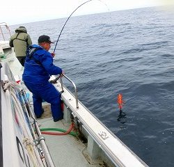 第二清洋丸 釣果