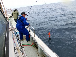 第二清洋丸 釣果