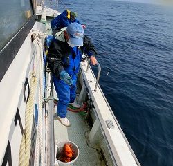 第二清洋丸 釣果