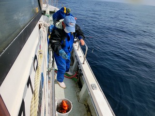 第二清洋丸 釣果