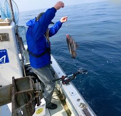 第二清洋丸 釣果