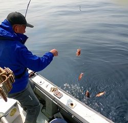 第二清洋丸 釣果