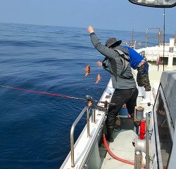 第二清洋丸 釣果