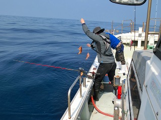 第二清洋丸 釣果