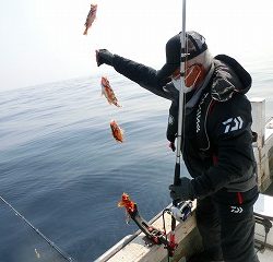 第二清洋丸 釣果