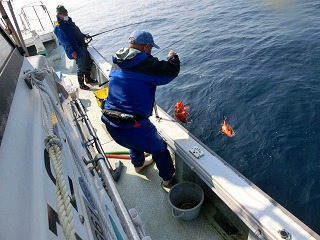 第二清洋丸 釣果
