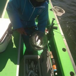 中山丸 釣果